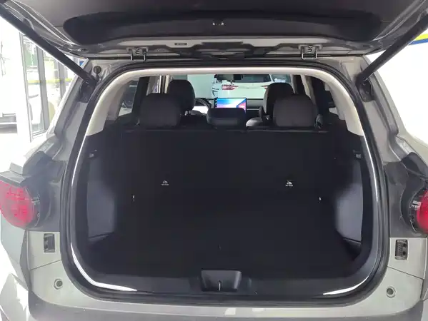 Haval Dog PLUS 2024