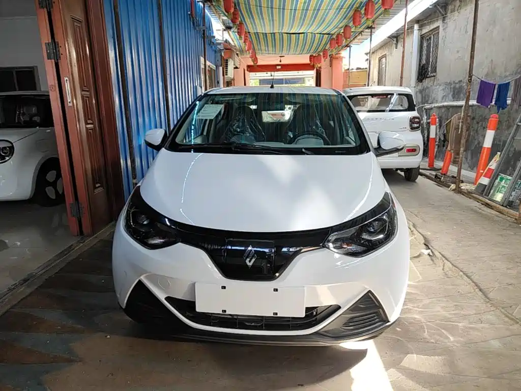 JMEV EV2 2026