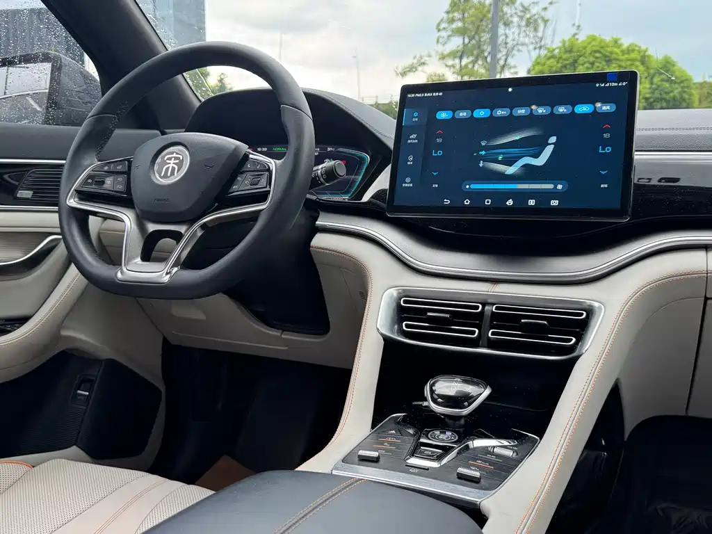 BYD Song PLUS New Energy 2021 — фото 11