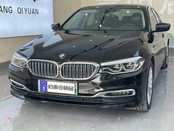 BMW 5 Series New Energy 2019