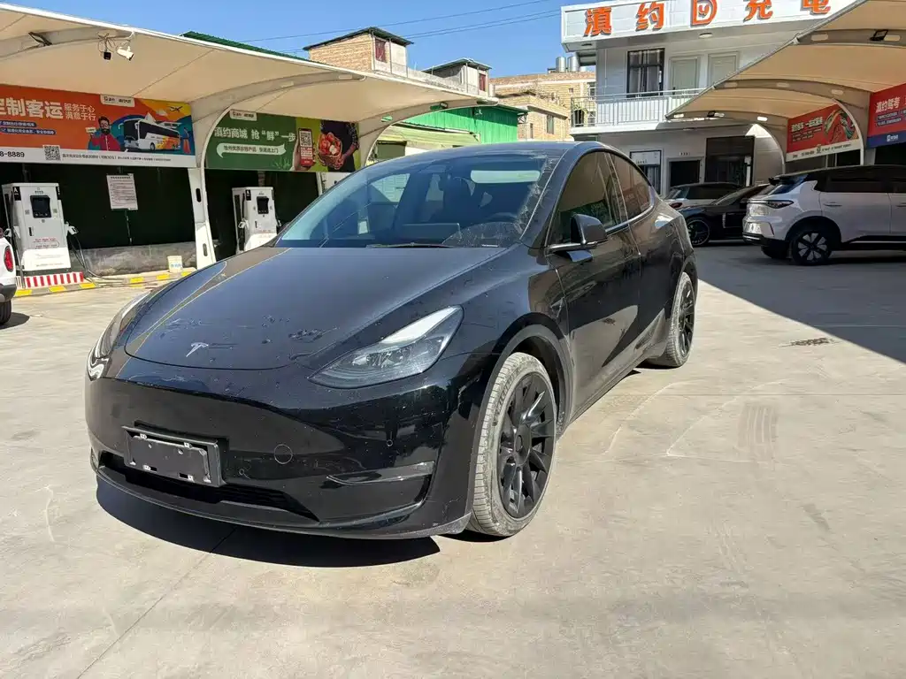 Tesla Model Y 2021 — фото 1