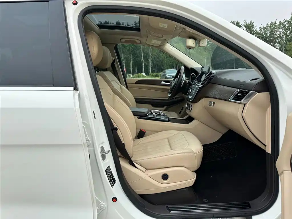 Mercedes-Benz GLS 2018 — фото 15