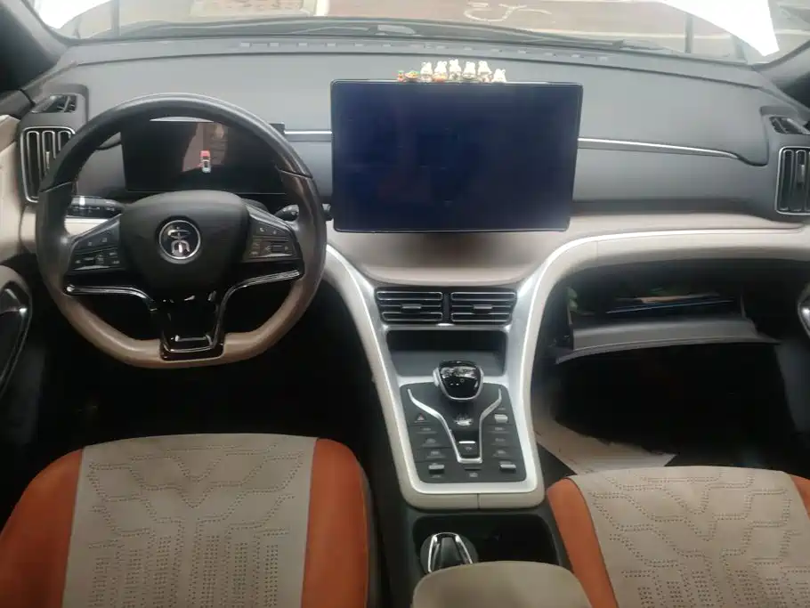 BYD Song Pro New Energy 2024 — фото 12