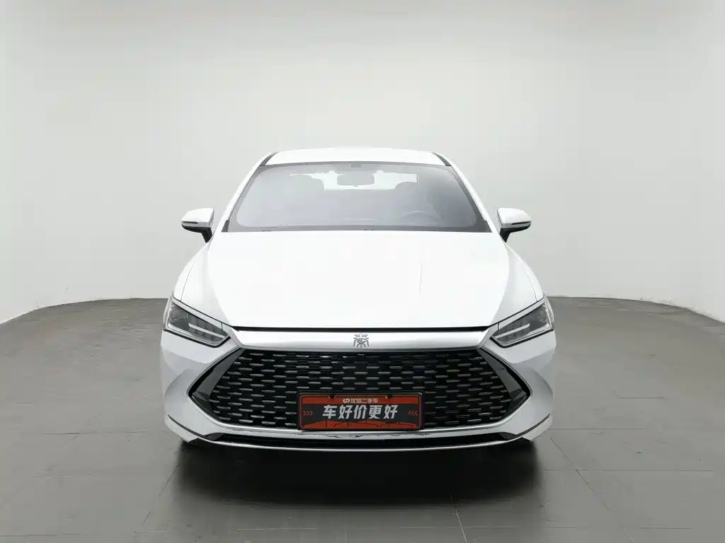 BYD Qin PLUS 2024 — фото 3