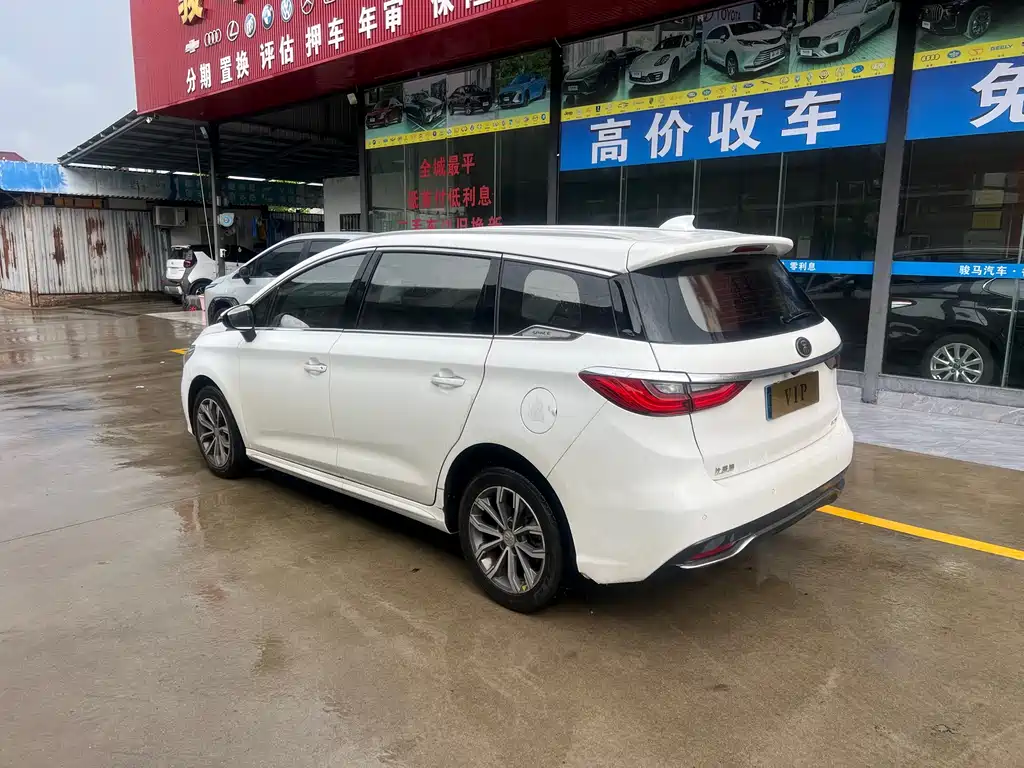 BYD Song MAX 2019 — фото 5