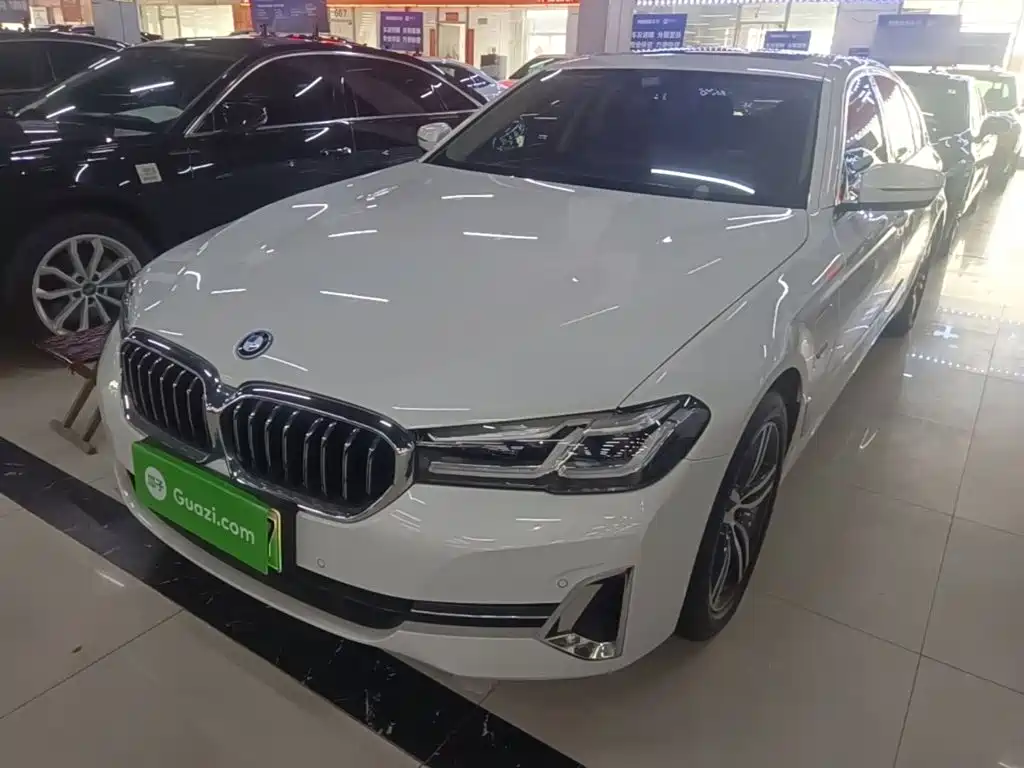 BMW 5 Series New Energy 2022