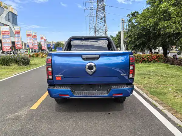 Great Wall Poer 2023