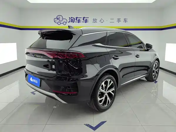 BYD Tang New Energy 2024