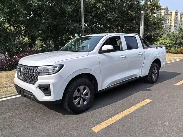 Great Wall Poer 2024