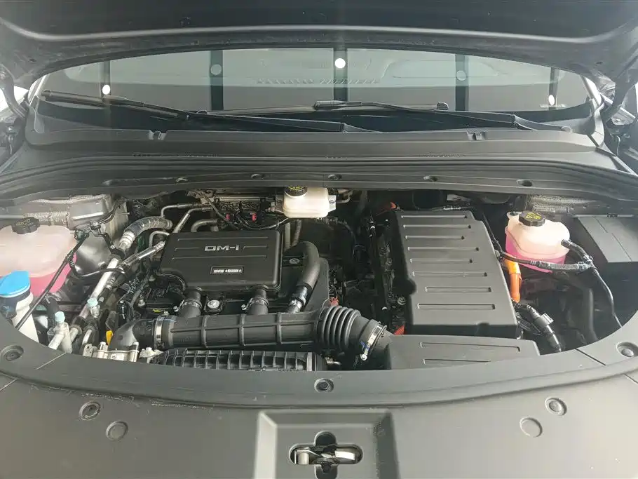 BYD L DM-i 2024 — фото 10