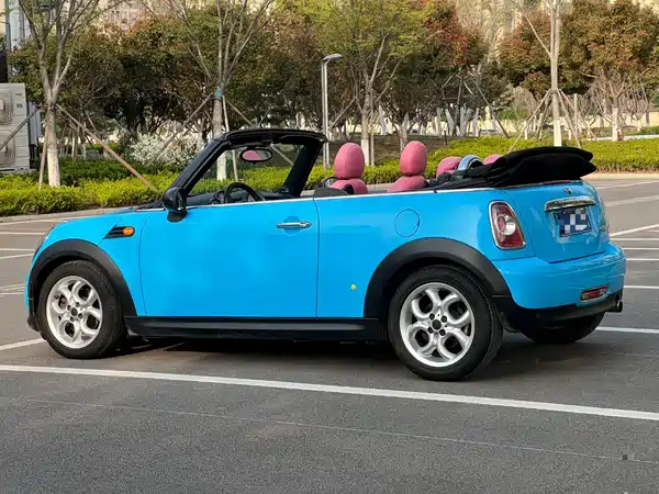 MINI 2012
