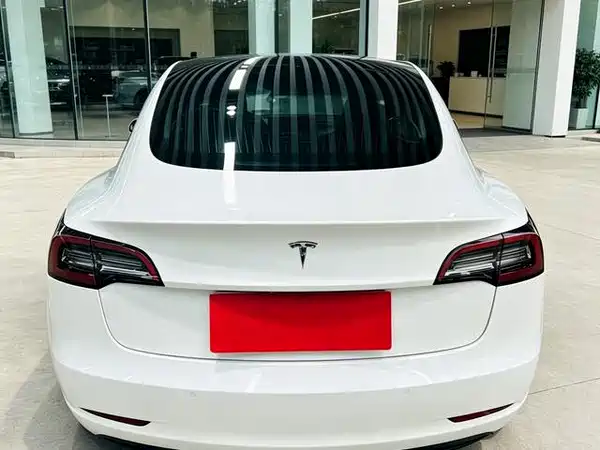 Tesla Model 3 2019