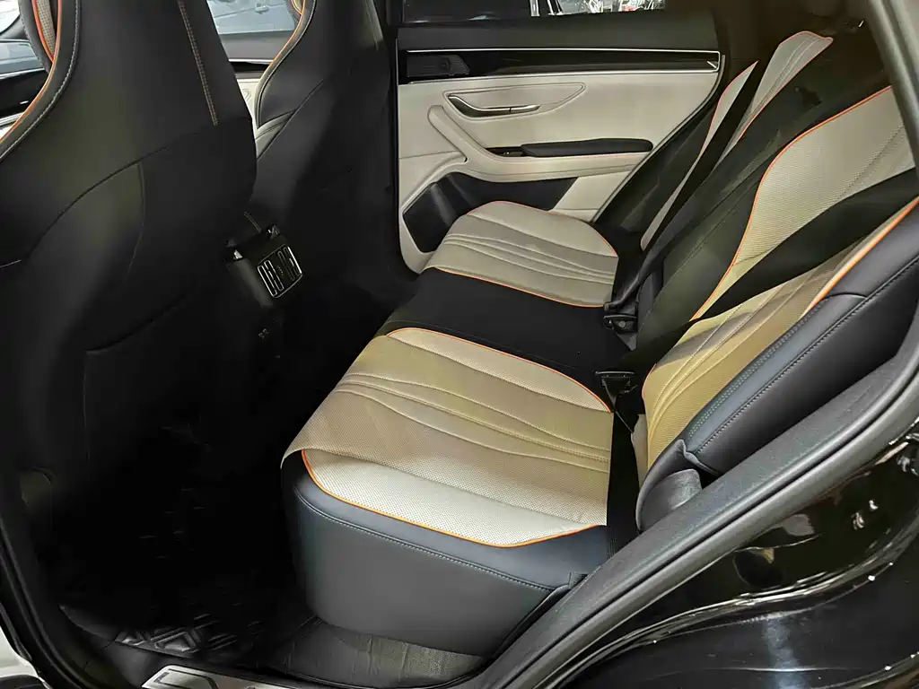 BYD Song PLUS New Energy 2023 — фото 6