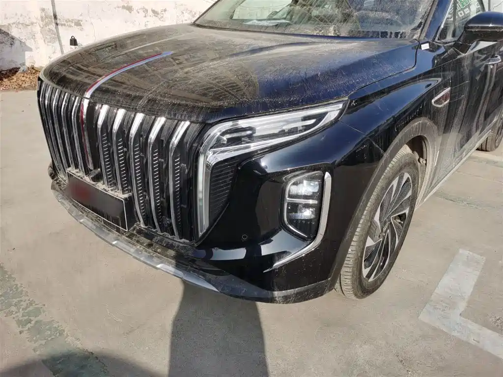 Hongqi HS7 PHEV 2024 — фото 15
