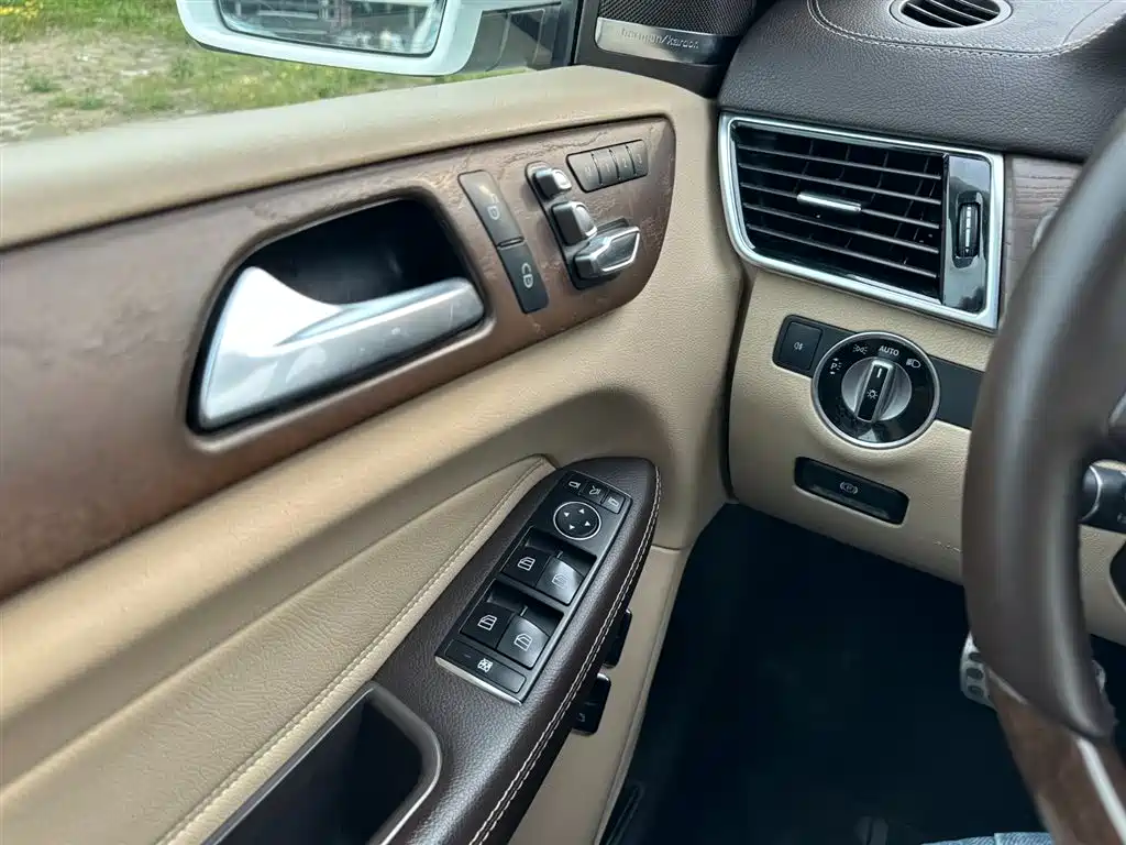 Mercedes-Benz GLS 2018 — фото 22