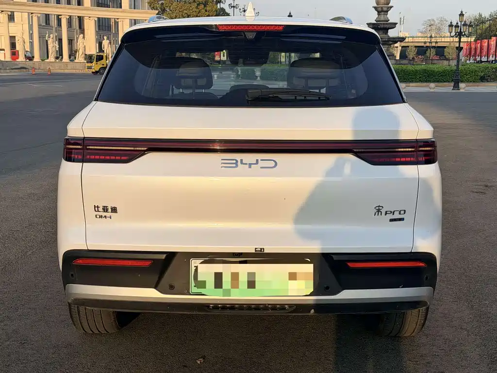BYD Pro New Energy 2025 — фото 14