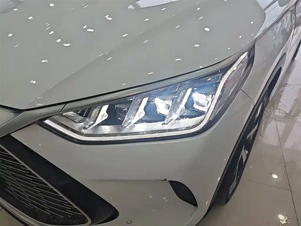 BYD PLUS New Energy 2021 — фото 24