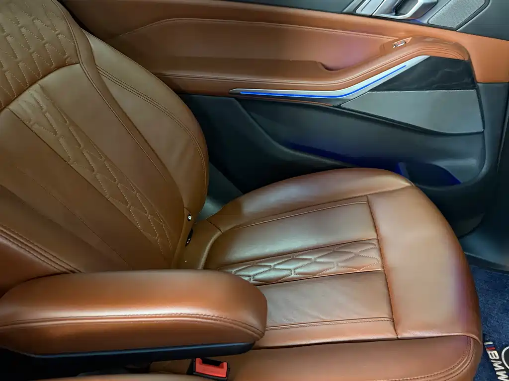 BMW X7 2021 — фото 16