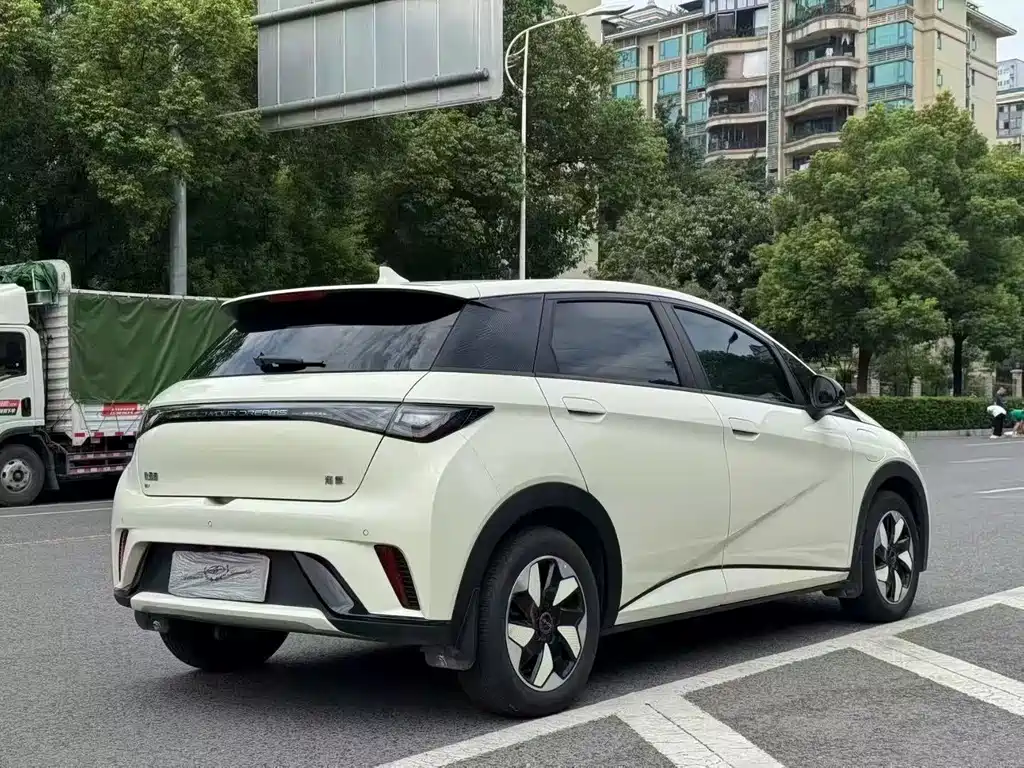 BYD Dolphin 2024