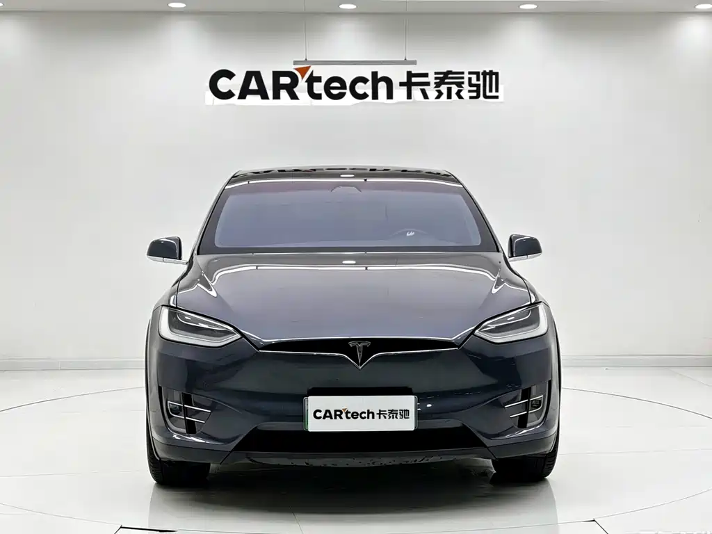 Tesla Model X 2020 — фото 2