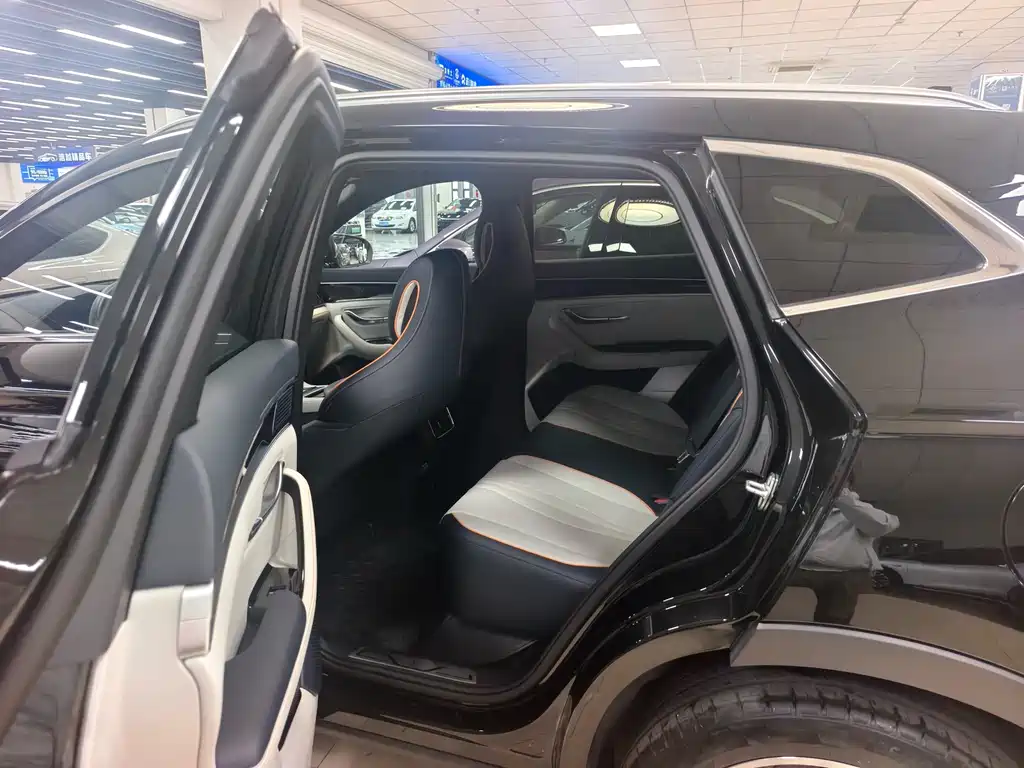 BYD PLUS New Energy 2023 — фото 4