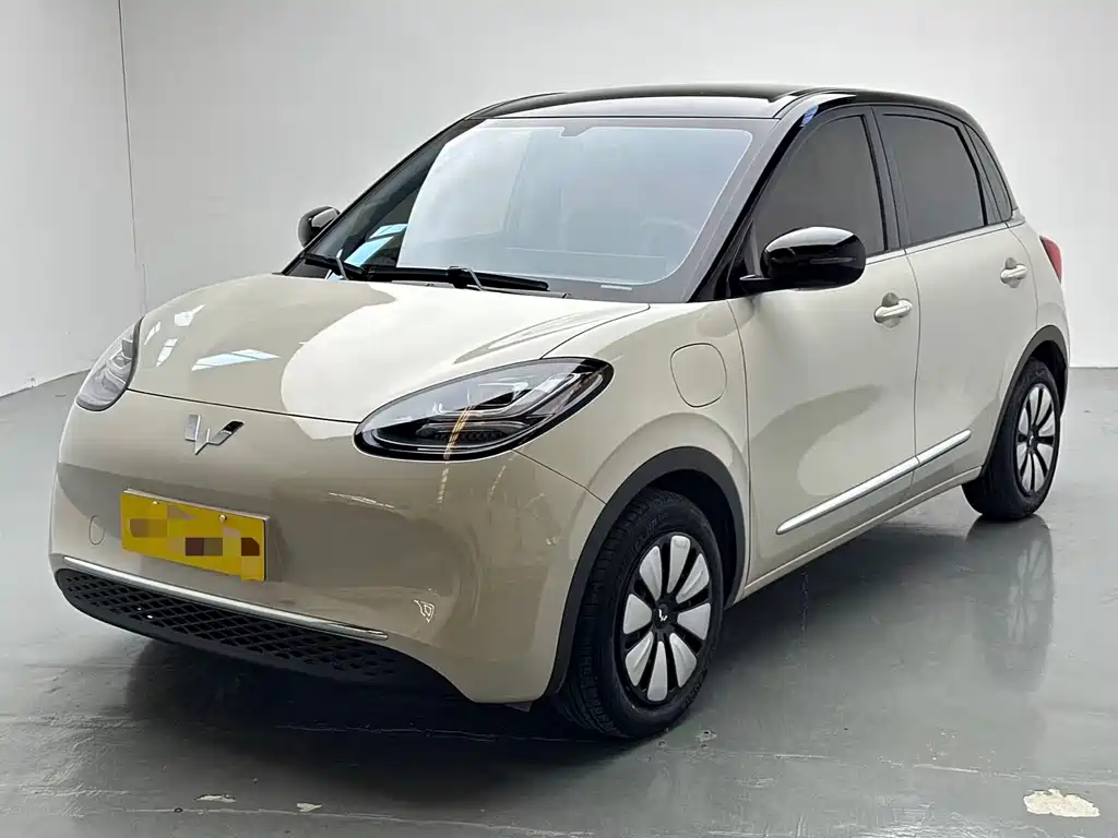 Wuling Bingo 2024