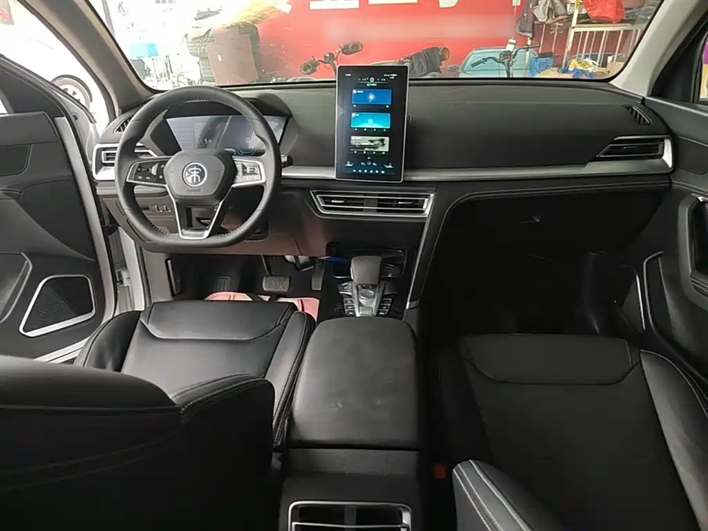 BYD Pro 2020 — фото 10