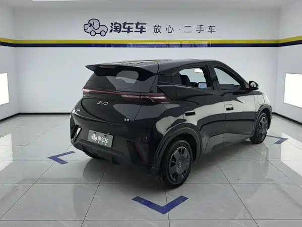 BYD Seagull 2024