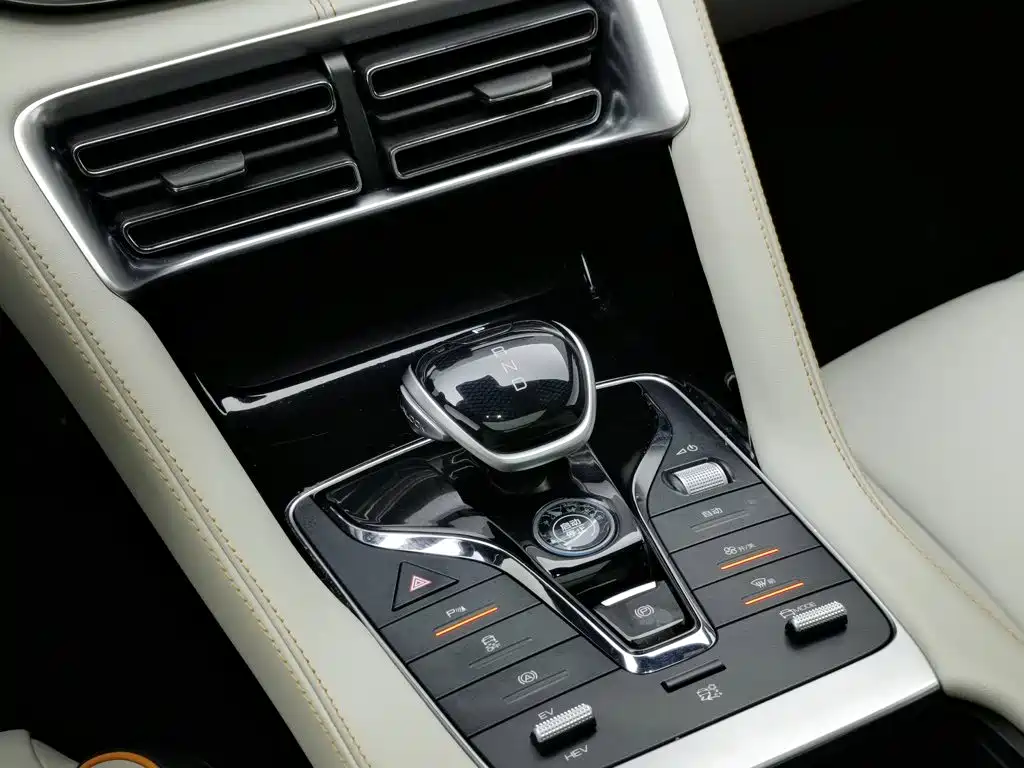 BYD Song PLUS New Energy 2022 — фото 13