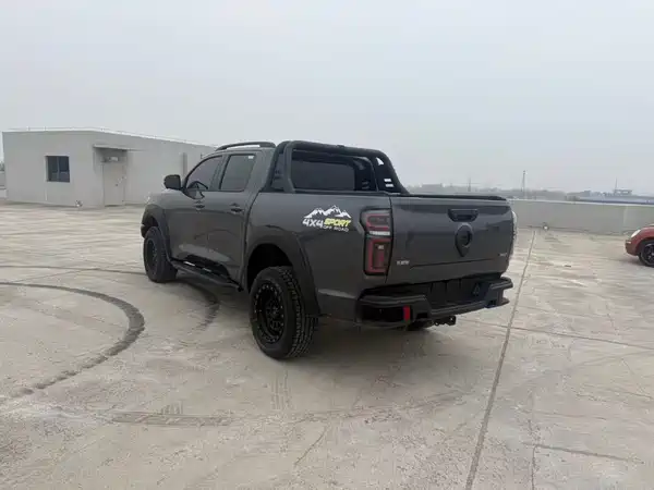 Great Wall Poer 2023