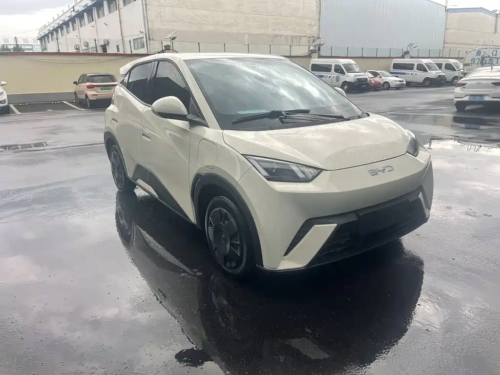 BYD Seagull 2024