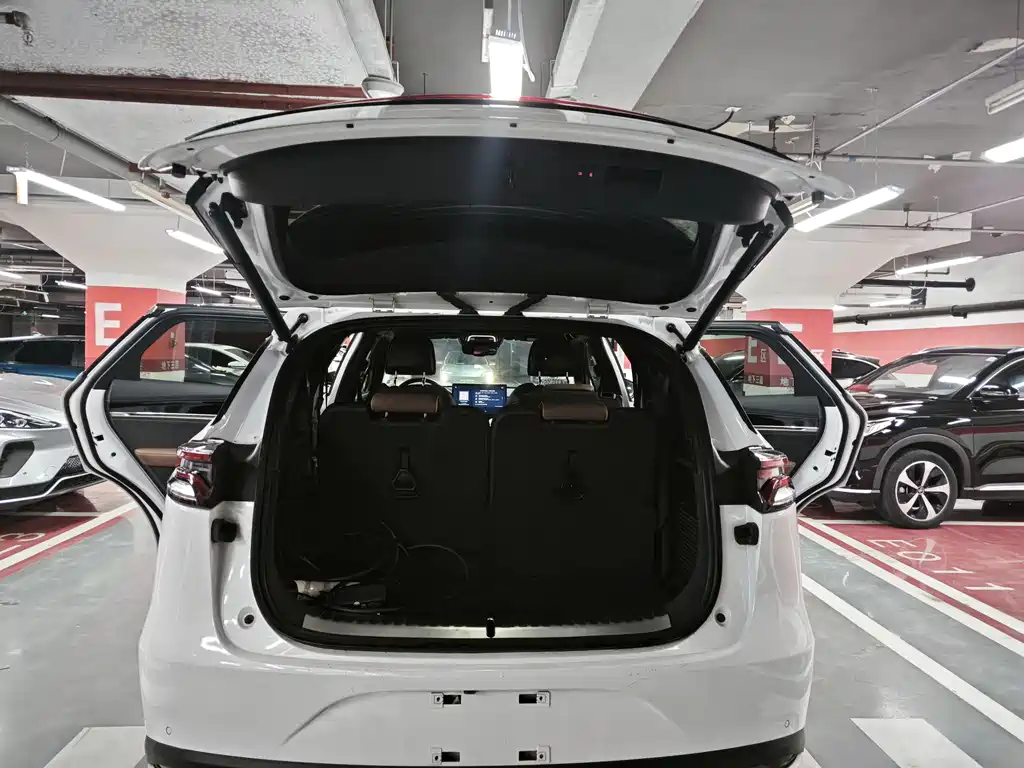 BYD Tang New Energy 2021 — фото 13