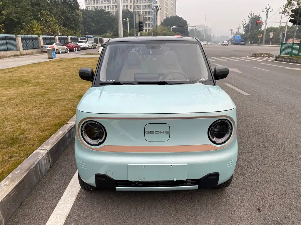 Galaxy Panda 2023