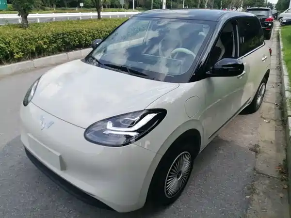 Wuling Bingo 2024