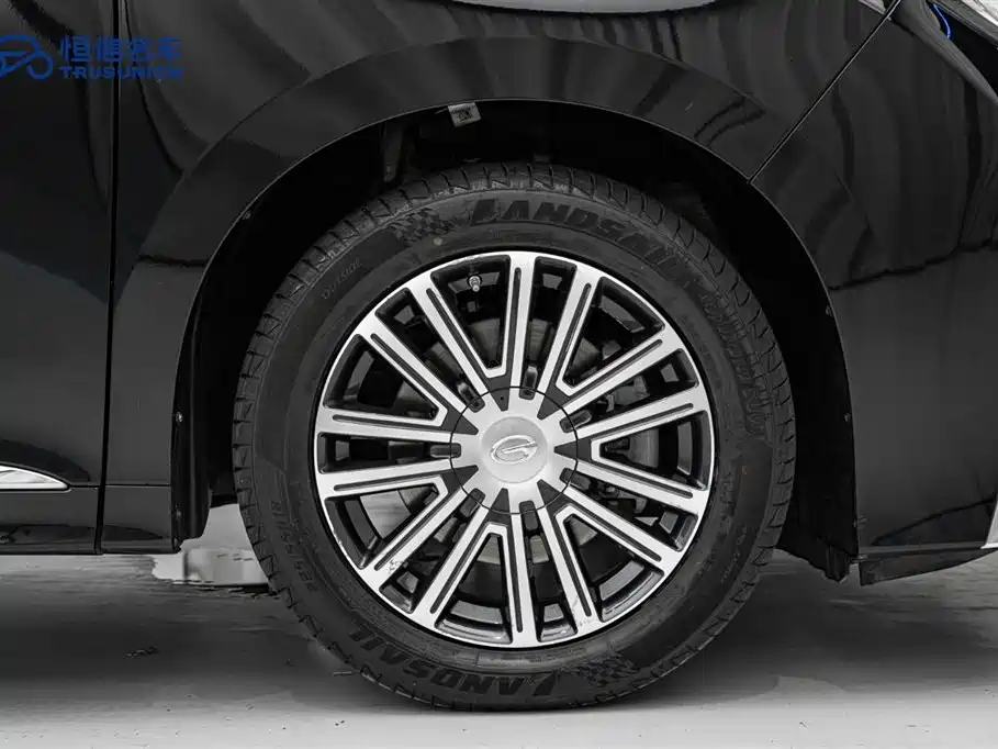 GAC Motor Trumpchi M8 2021 — фото 11
