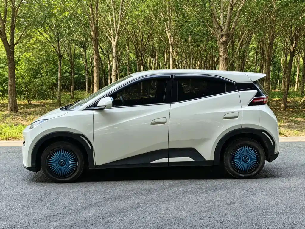 BYD Seagull 2025