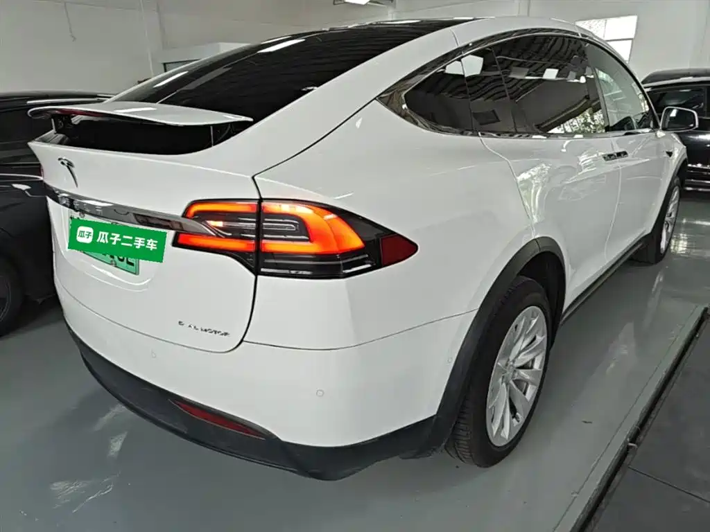 Tesla Model X 2021 — фото 7