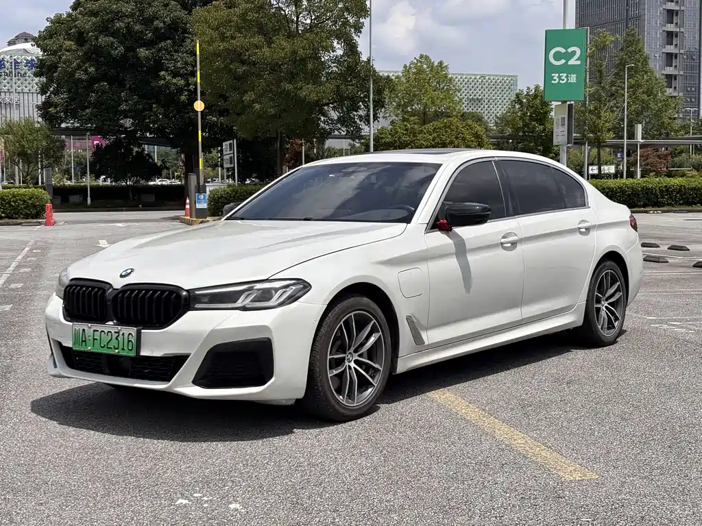 BMW 5 Series New Energy 2021
