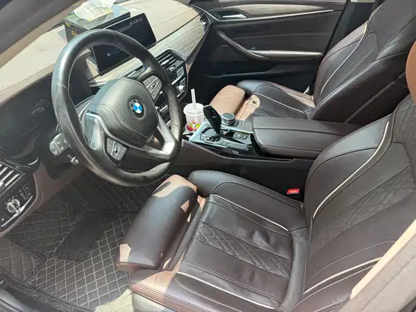 BMW 5 Series New Energy 2020