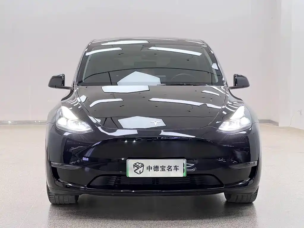 Tesla Model Y 2021 — фото 2