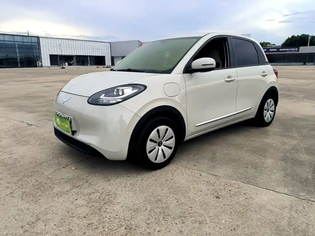 Wuling Bingo 2025