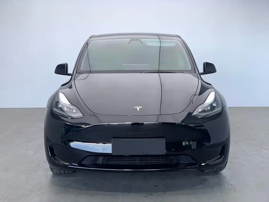 Tesla Model Y 2022 — фото 2