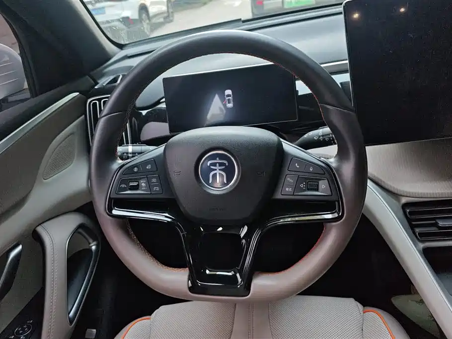 BYD Pro New Energy 2024 — фото 15