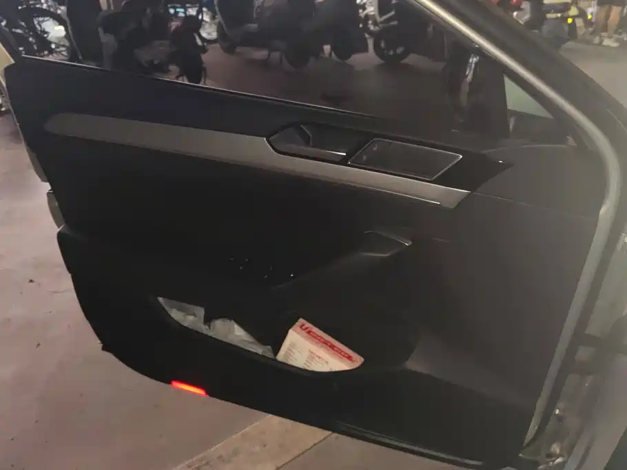 Volkswagen Magotan 2019