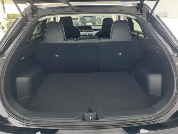 Venucia Big V 2023