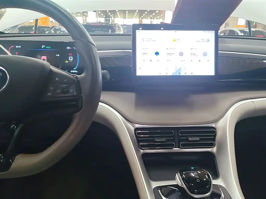 BYD Pro New Energy 2024 — фото 10