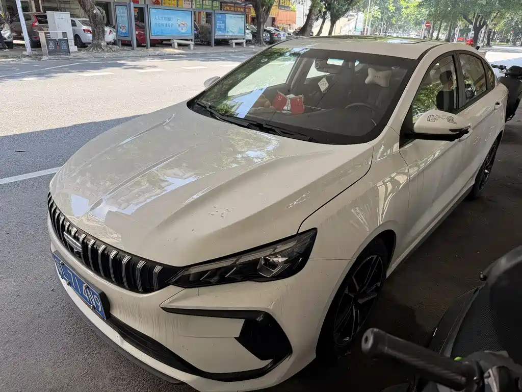 Geely Binrui 2024