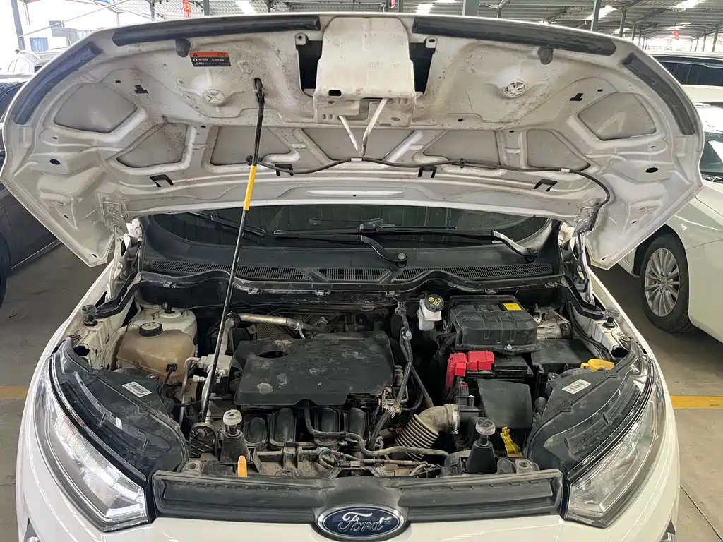 Ford Ecosport 2017 — фото 14
