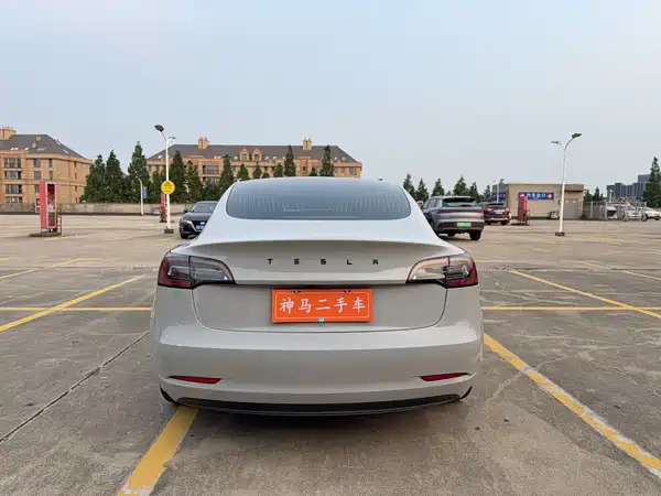 Tesla Model 3 2019
