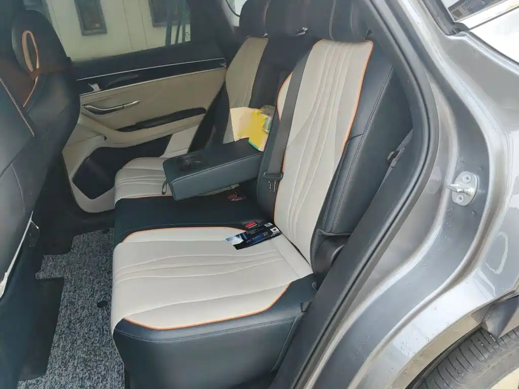BYD PLUS New Energy 2021 — фото 15